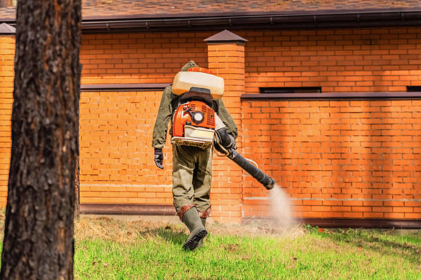 Trusted Cockroach Control service in Ben Avon, SC - Nex Pest Control